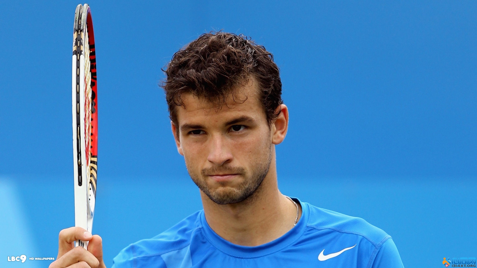 面对哈兰德 面对哈兰德